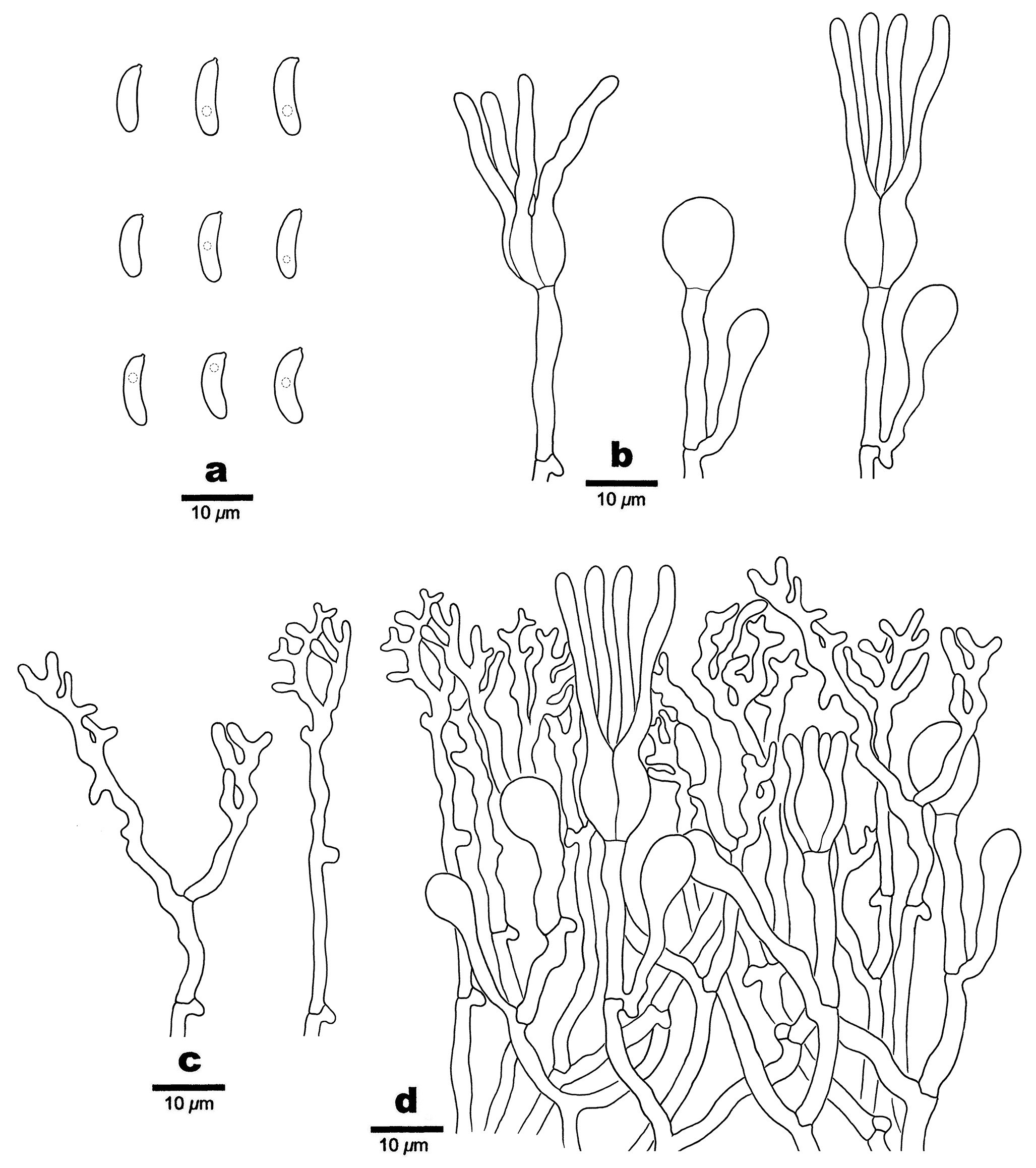 Figure 33